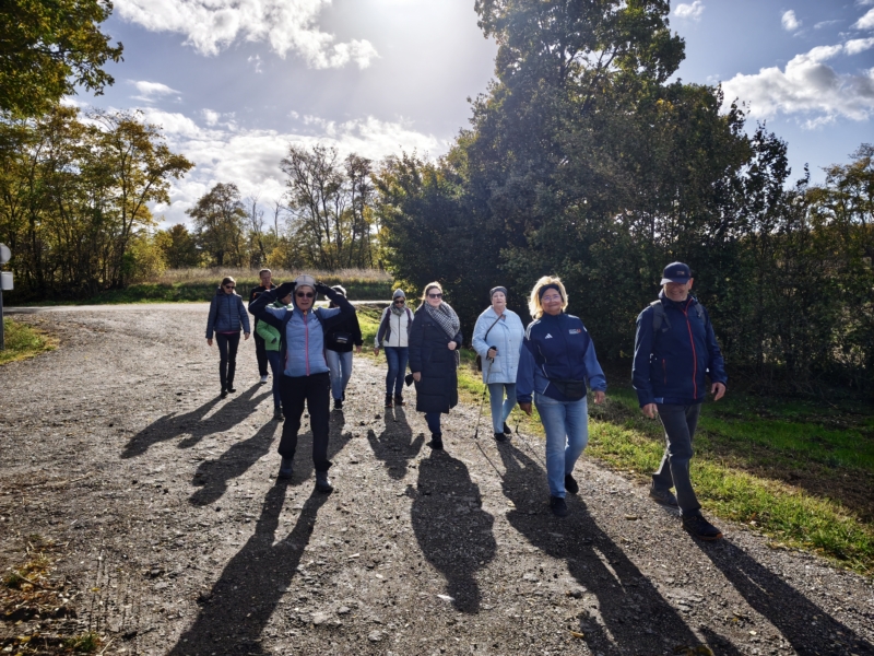 20261026_SU Wandertag (2)