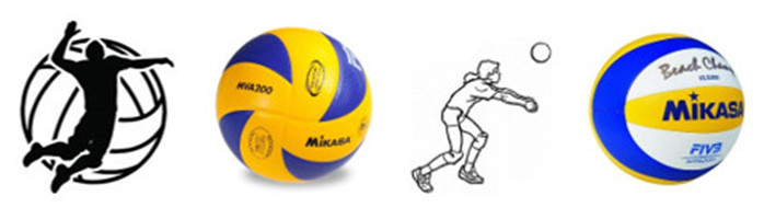 Volleyball Logo